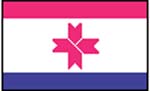 Flag of Mordvinia